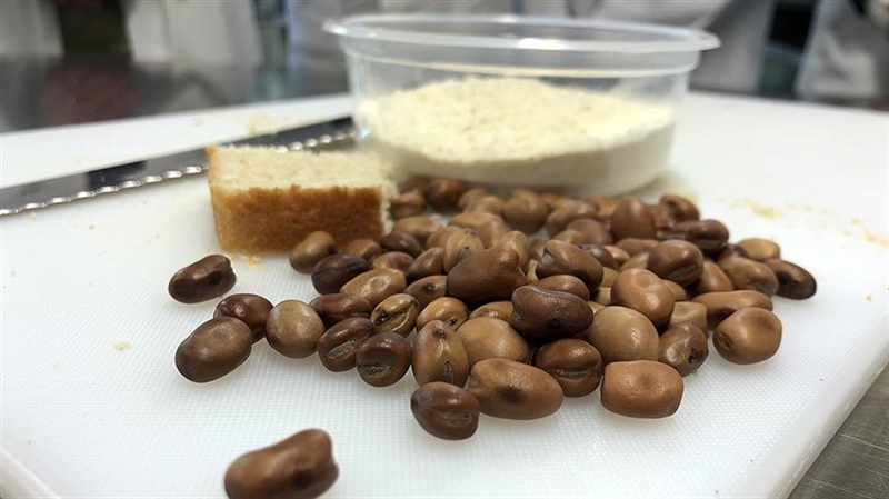 Raising the Pulse: Beans IN toast for sustainable healthy eating