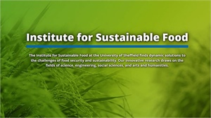 Institute for Sustainable Food - Our response to the Government Food Strategy